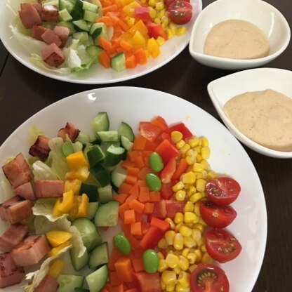 家にあった野菜で作りました。
ドレッシング美味しいかったです♪